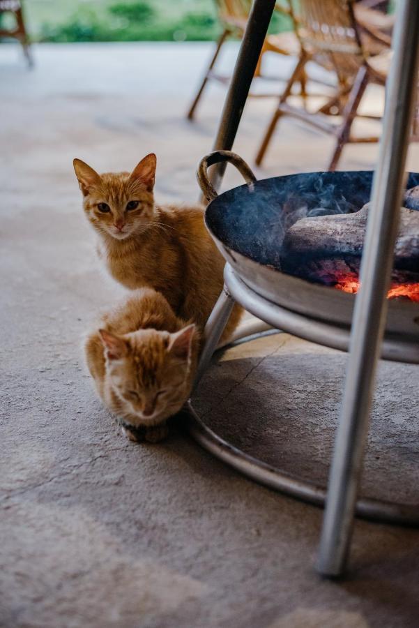 Dinh Gia Trang - Homestay & Coffee The Ruong ภายนอก รูปภาพ