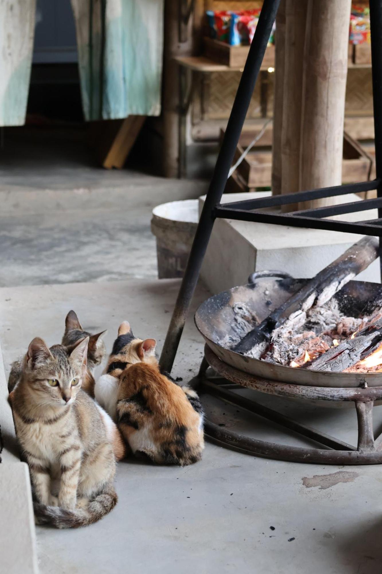 Dinh Gia Trang - Homestay & Coffee The Ruong ภายนอก รูปภาพ