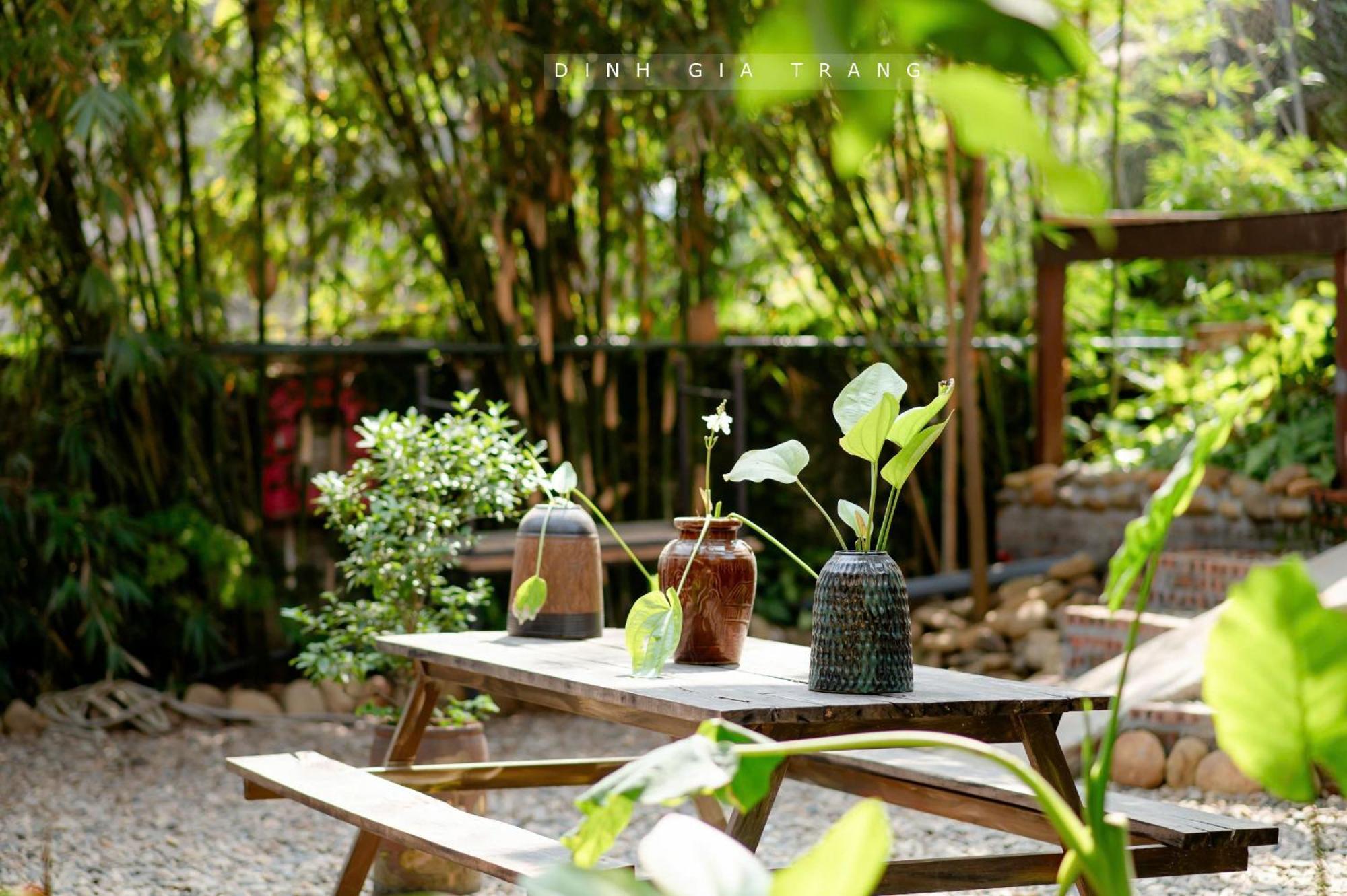 Dinh Gia Trang - Homestay & Coffee The Ruong ภายนอก รูปภาพ