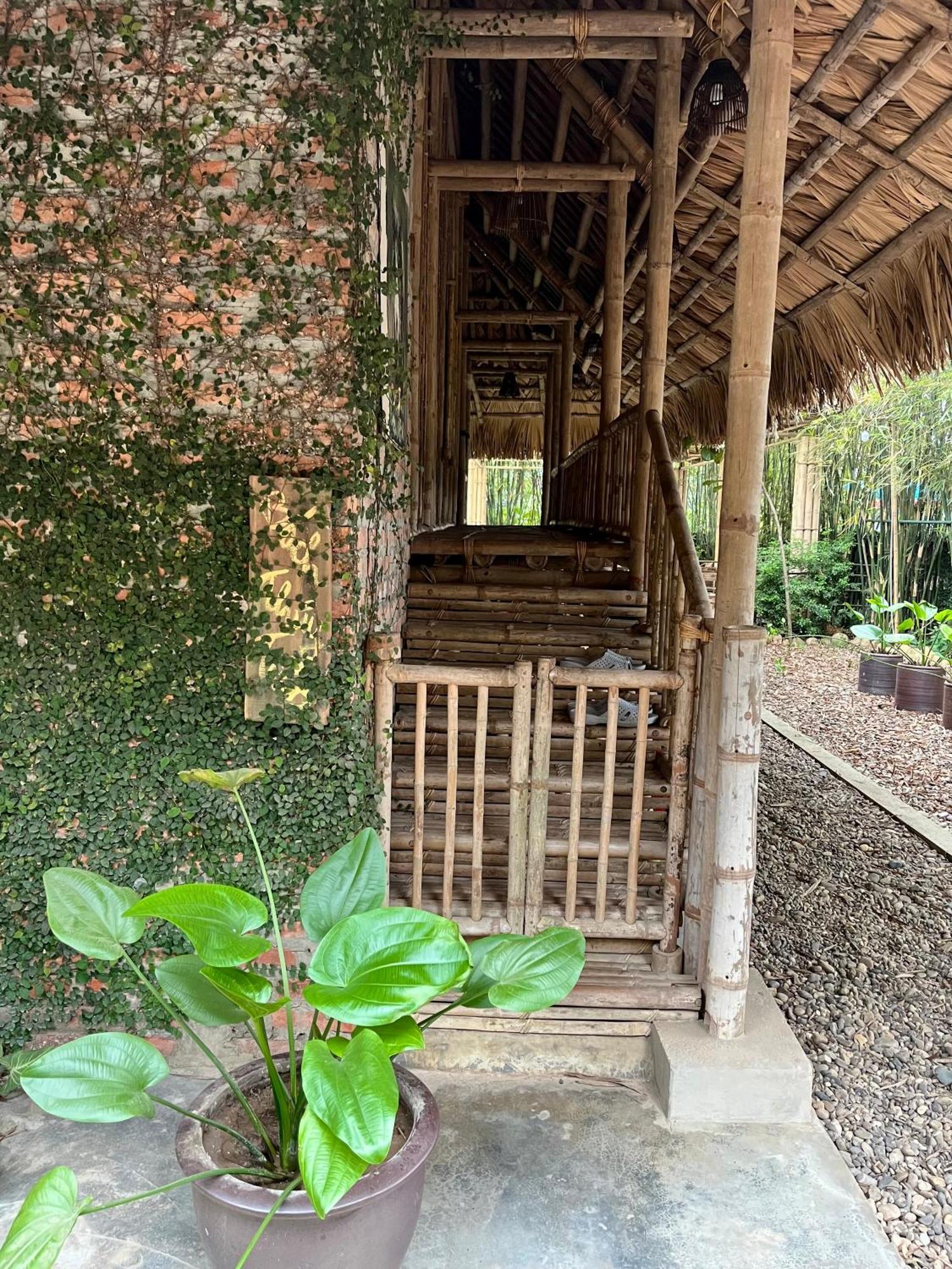 Dinh Gia Trang - Homestay & Coffee The Ruong ภายนอก รูปภาพ