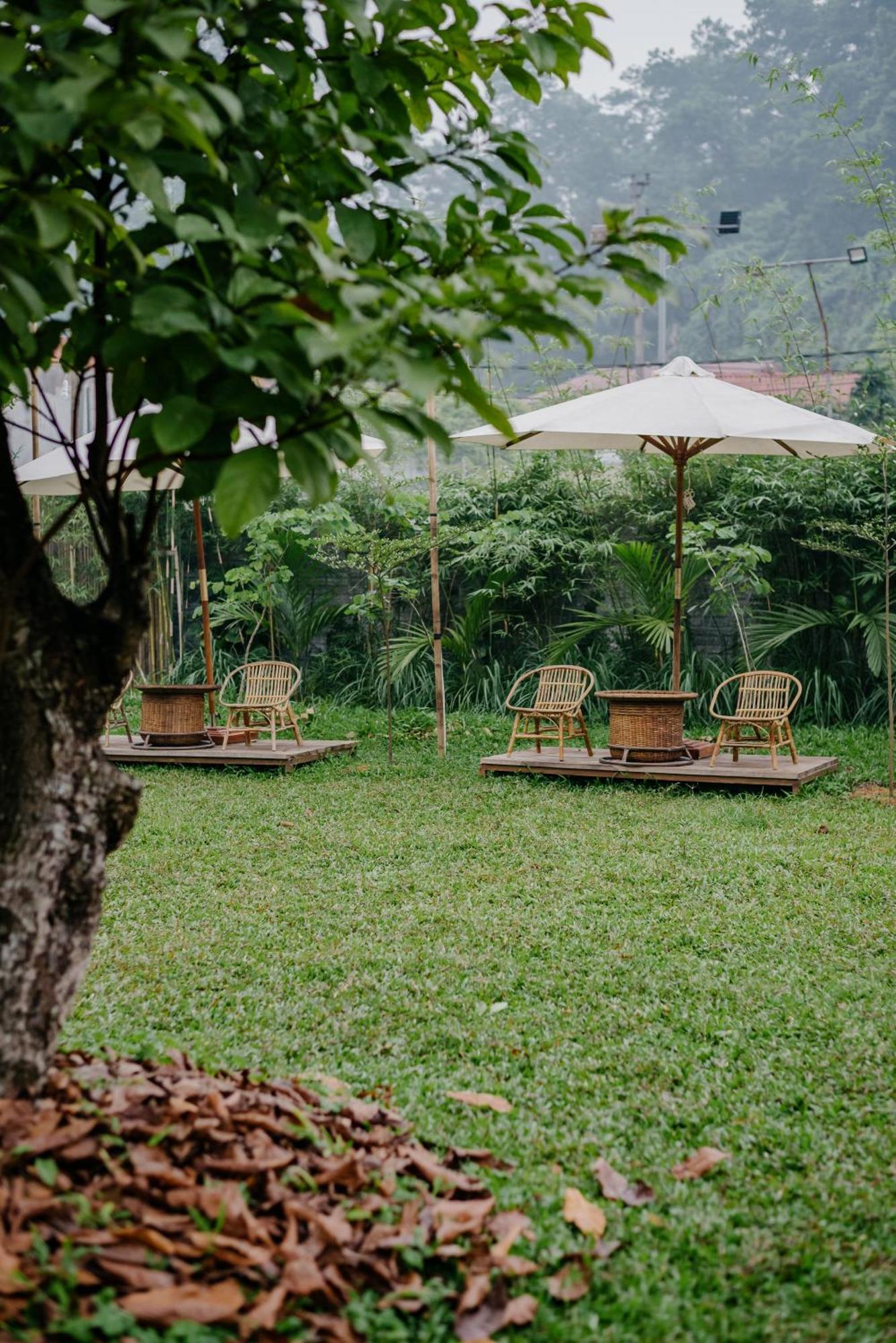 Dinh Gia Trang - Homestay & Coffee The Ruong ภายนอก รูปภาพ